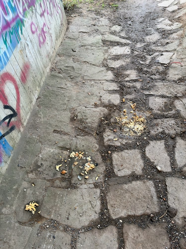 Giftköder-Evt. Giftköder-Profilbild