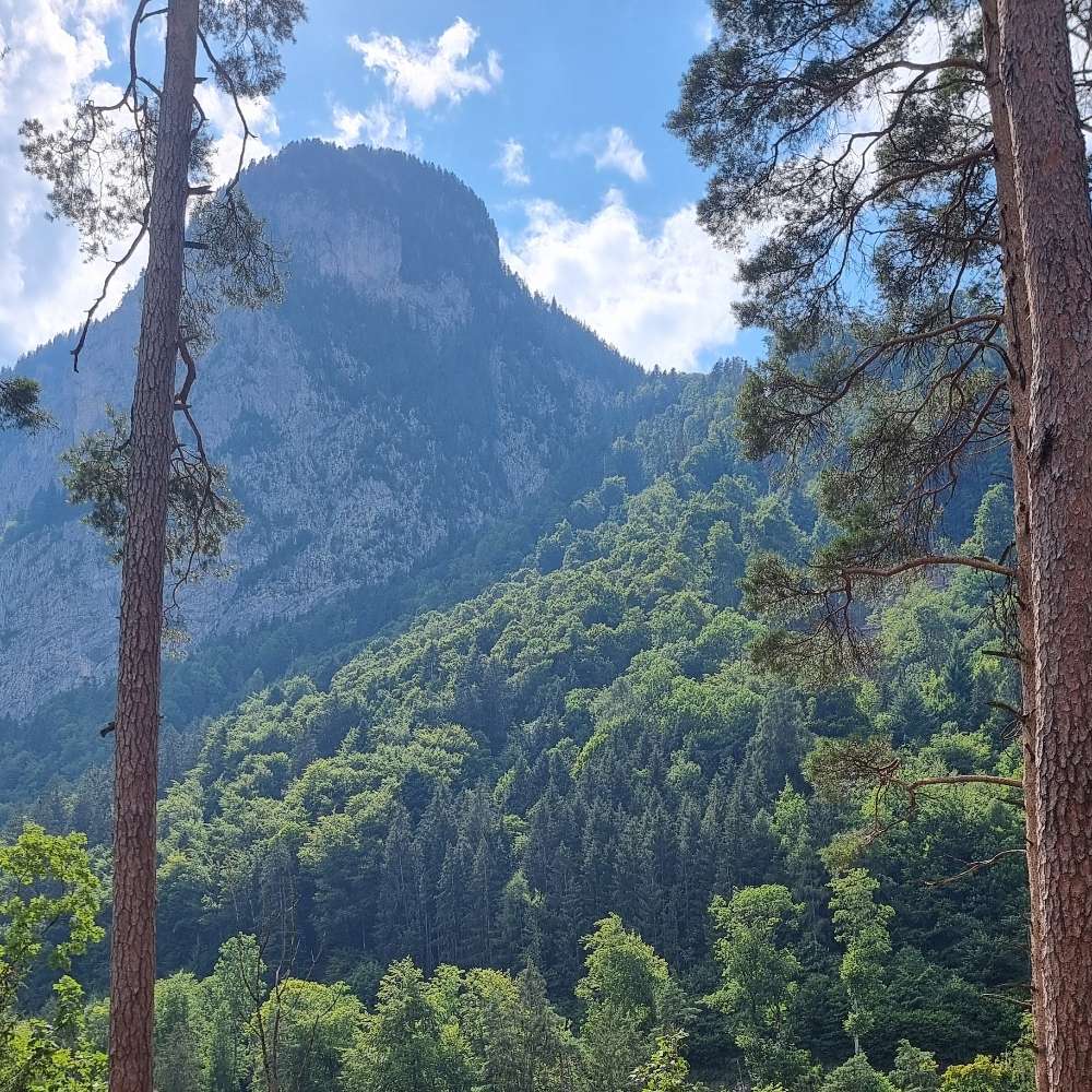 Hundetreffen-Wandern/Spatzieren im Berner Oberland-Profilbild