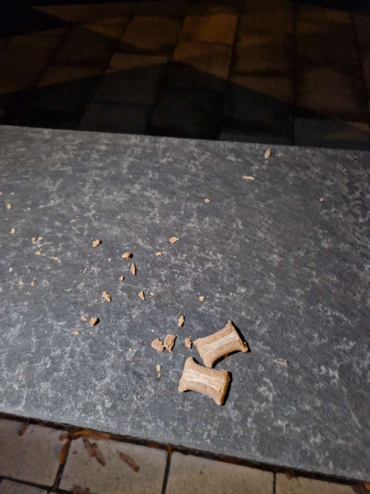 Giftköder-Möglicher Giftköder entdeckt-Profilbild