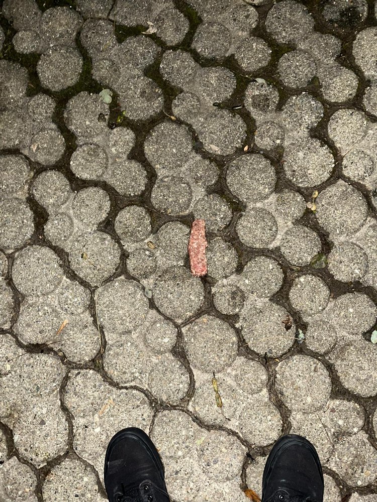 Giftköder-Komische Lebensmittel, evtl. Giftköder-Profilbild