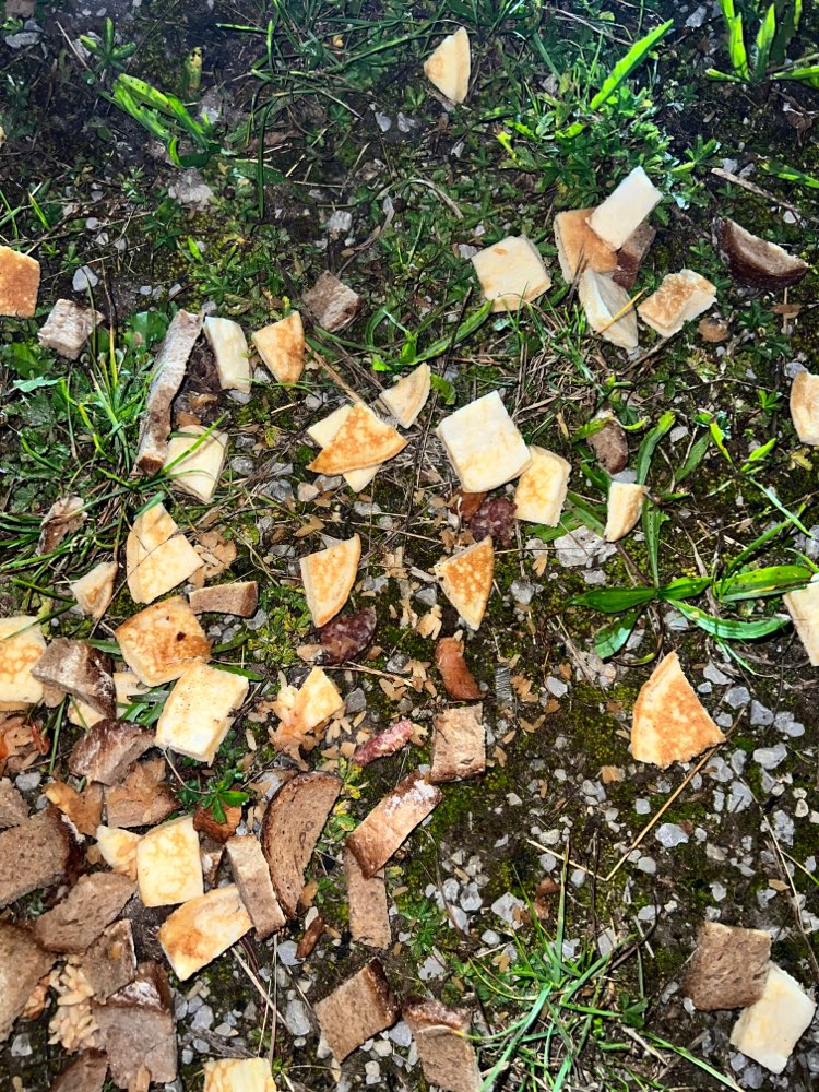 Giftköder-Komische Essensreste-Profilbild