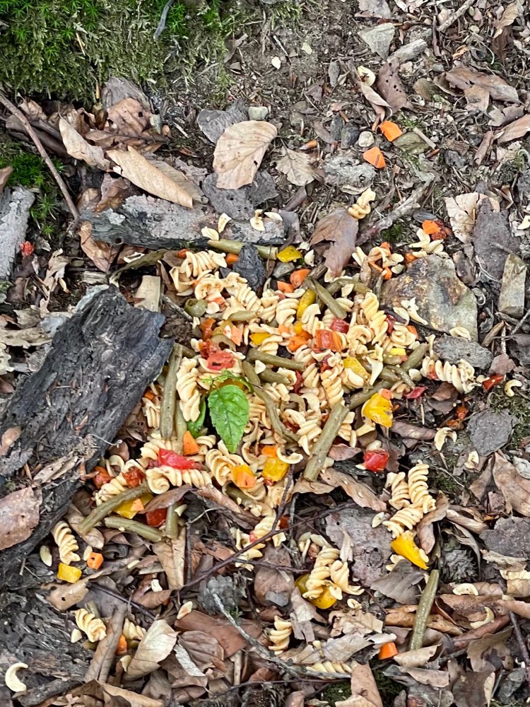 Giftköder-Nudelsalat-Profilbild