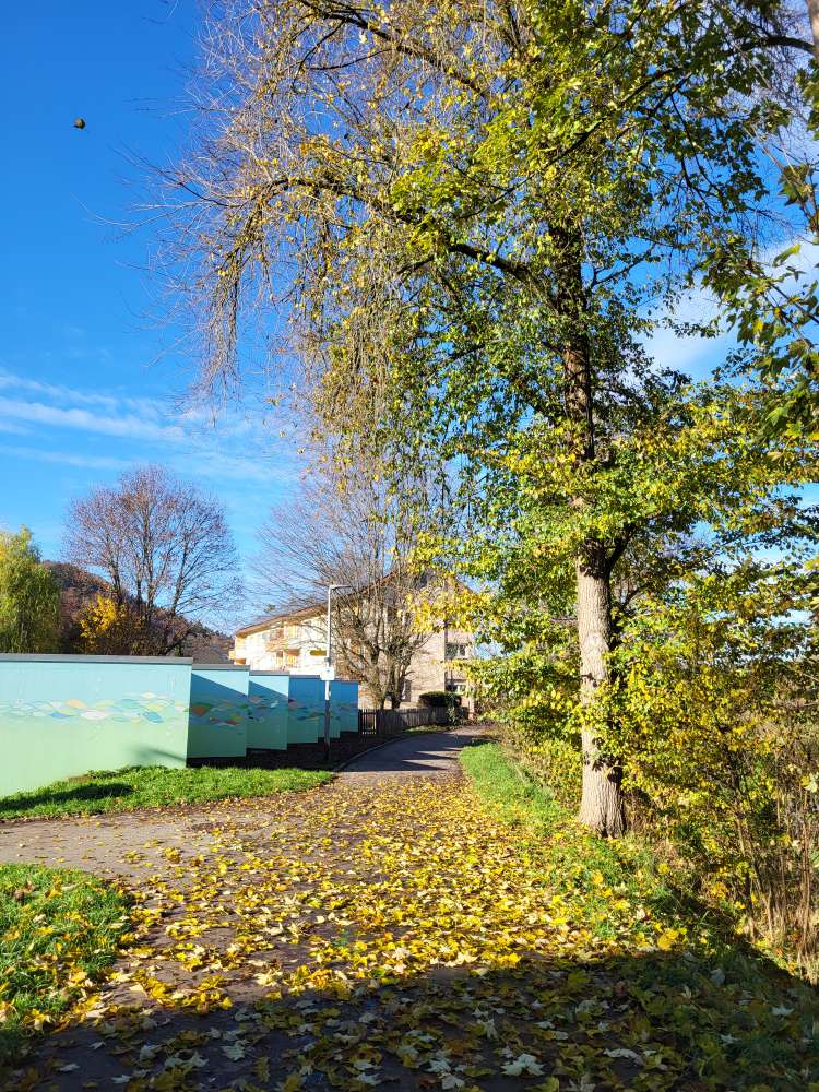 Giftköder-Evtl Giftköder-Profilbild