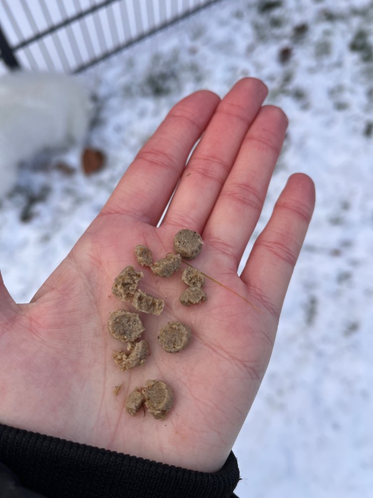 Giftköder-Trockenfutter unter dem Schnee-Profilbild