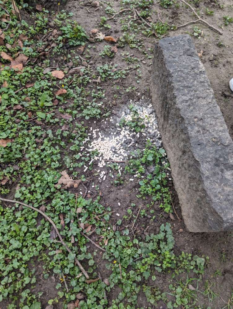 Giftköder-Weisse Pellets im Stadtwald-Profilbild