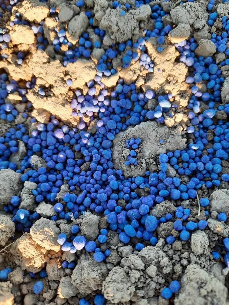 Giftköder-Vermutlich Düngermittel-Profilbild