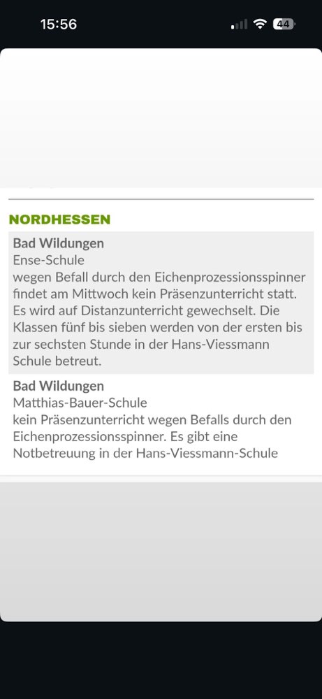 Giftköder-Eichenprozessionsspinner-Profilbild