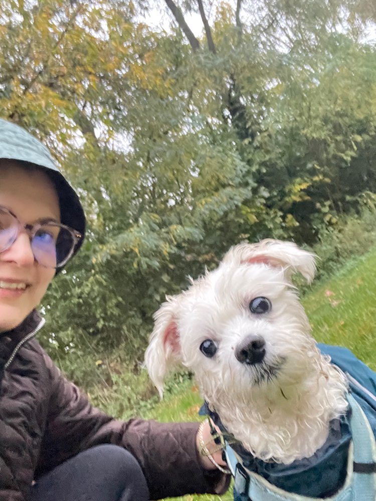 Hundetreffen-Social Walks / Hundefreunde/ gegenseitiges Dogsitting-Profilbild