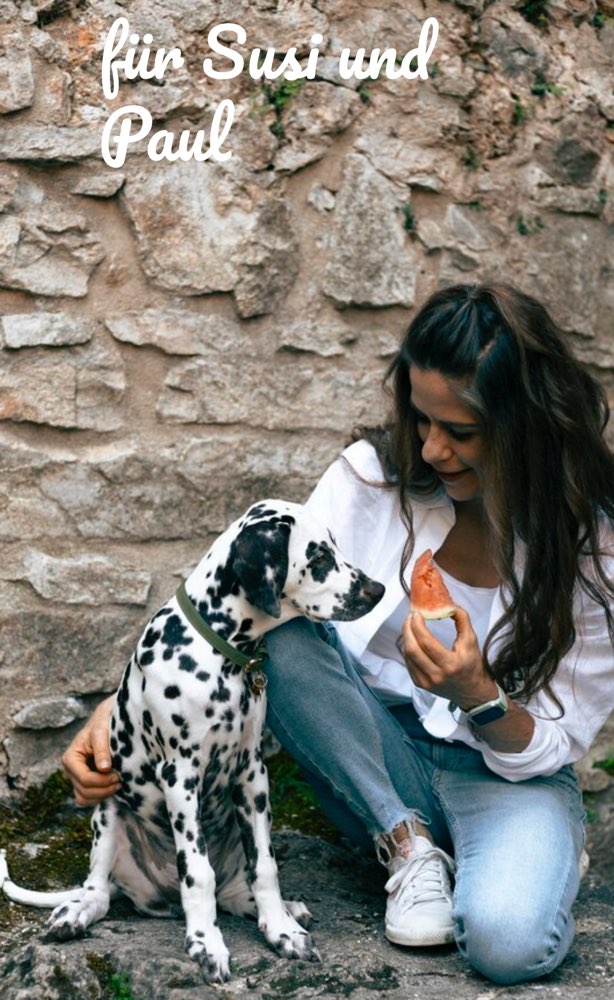 Hundetreffen-Social Walks & Training-Profilbild