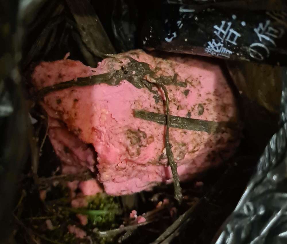 Giftköder-Giftköder in Schwadorf-Profilbild