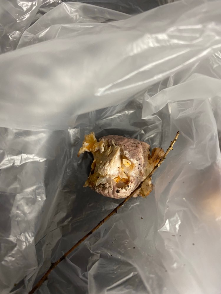 Giftköder-Knochen in Eglosheim-Profilbild