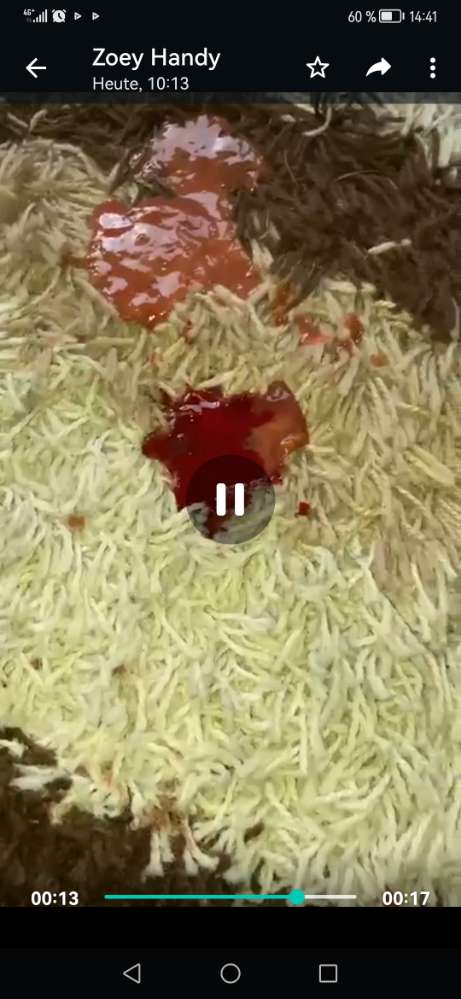 Giftköder-rattengift-Profilbild