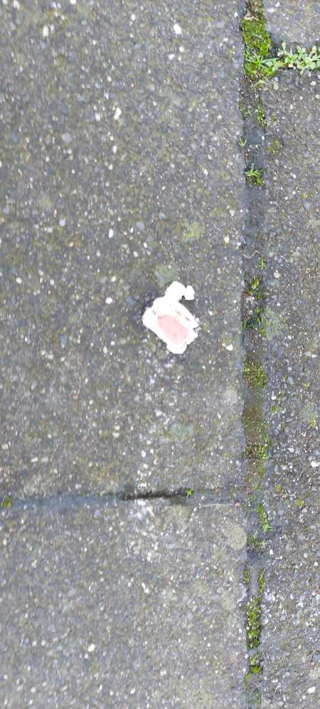 Giftköder-Verschiedene Hundelecker auf dem Gehweg-Profilbild