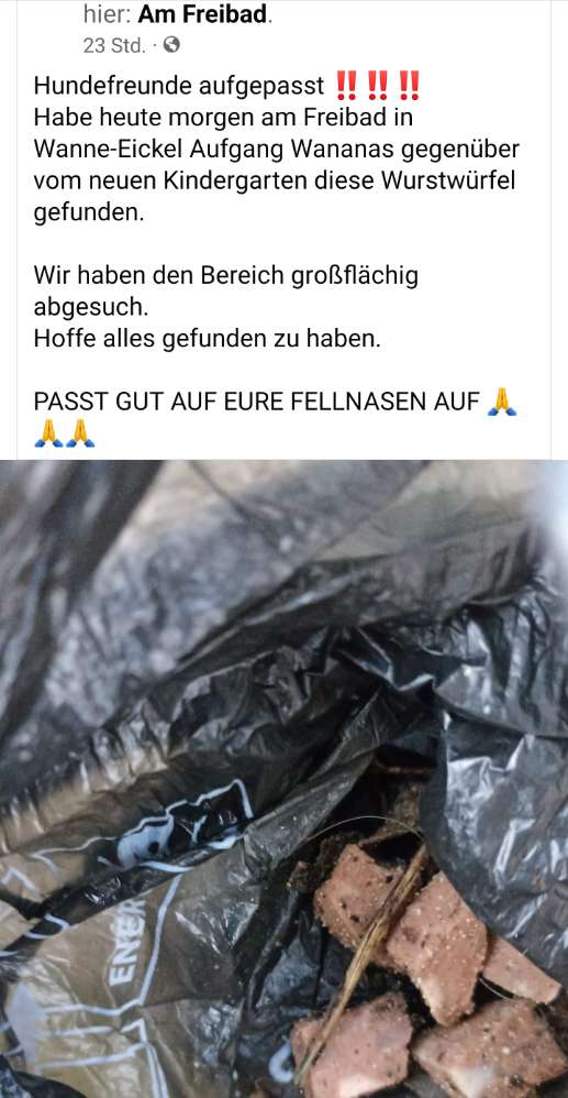 Giftköder-Fleischwürfel / Wananas-Profilbild