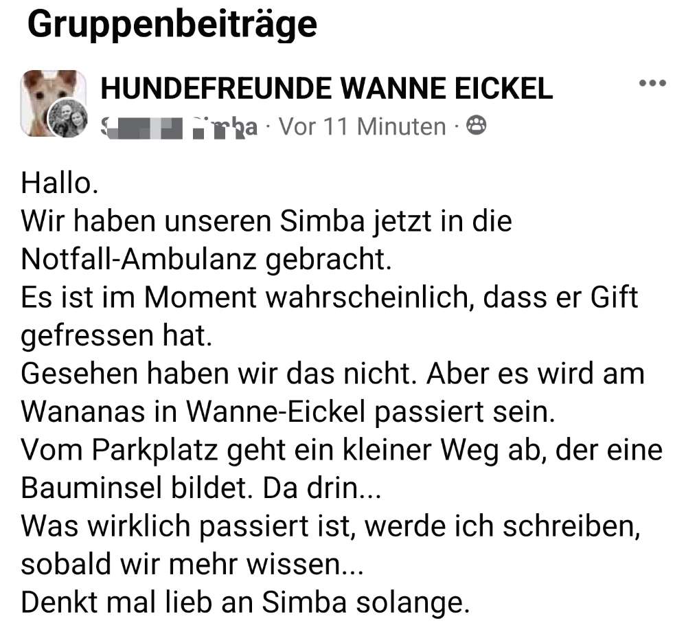 Giftköder-(erl.) vermutlicher Giftköder am Wananas-Profilbild