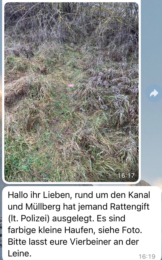 Giftköder-Rattengift Solarberg Fürth-Profilbild