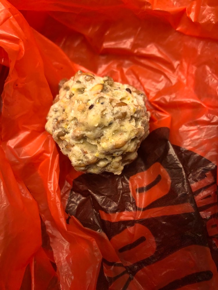 Giftköder-Giftköder-Profilbild