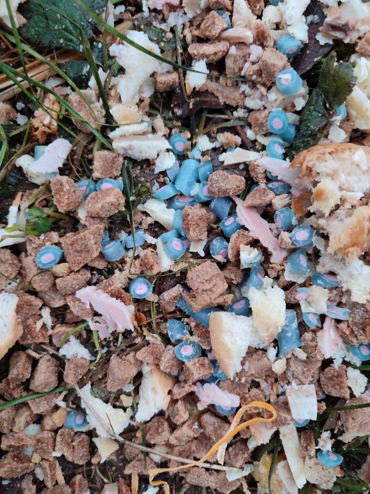 Giftköder-Giftköder-Profilbild