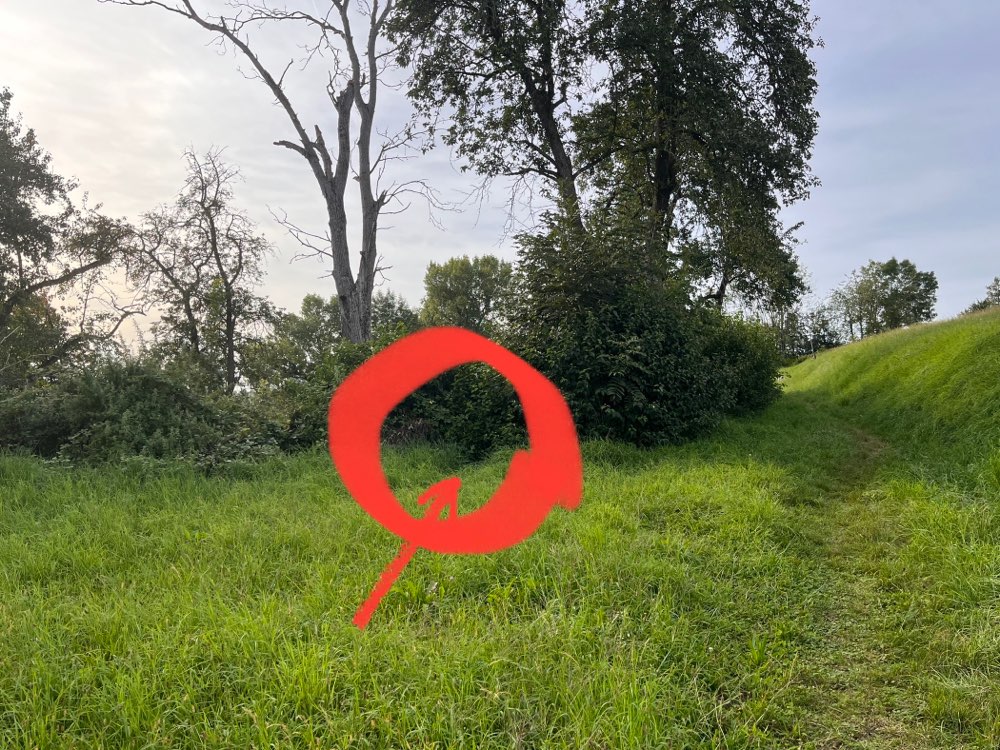 Giftköder-Brot mit eventuellem Giftköder-Profilbild