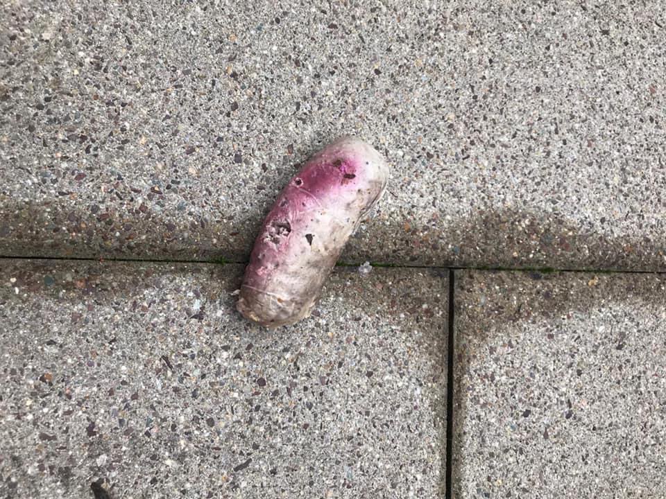 Giftköder-Giftköder-Profilbild