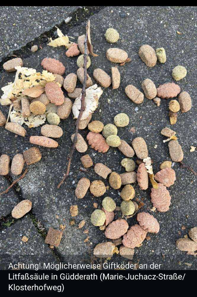 Giftköder-Mgl Futter / Giftköder-Profilbild