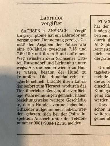 Giftköder-Labrador vergiftet-Profilbild