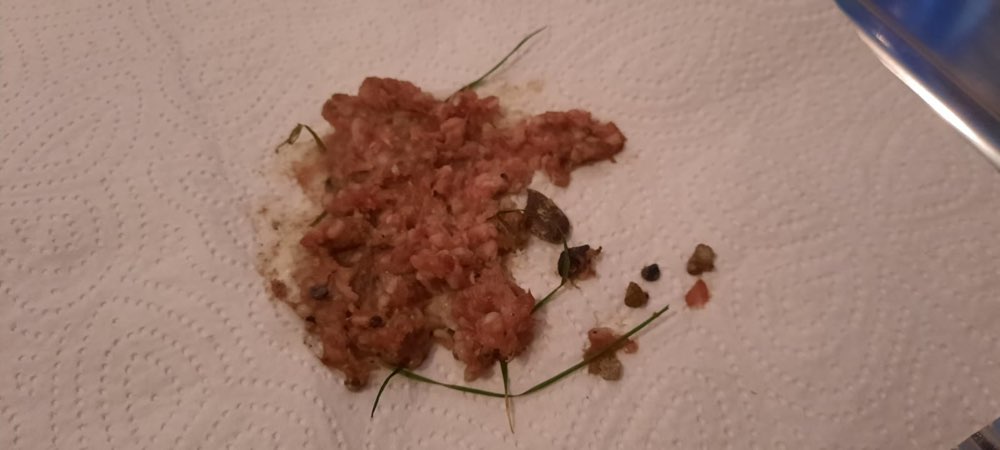 Giftköder-Giftköder?-Profilbild