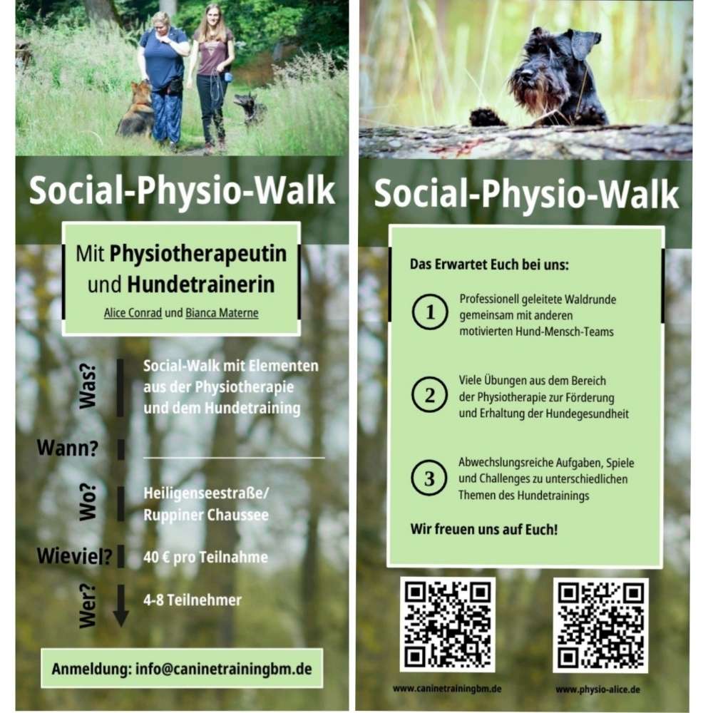 Hundetreffen-Social Physio Walk-Profilbild