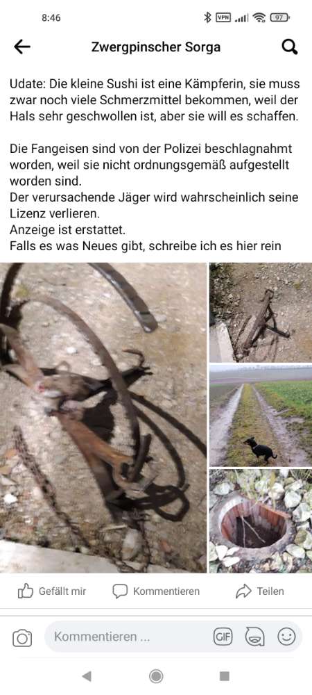 Giftköder-Schlagfallen in Hiendorf / Mindelstetten-Profilbild