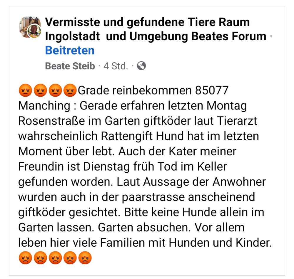 Giftköder-Giftköder-Profilbild