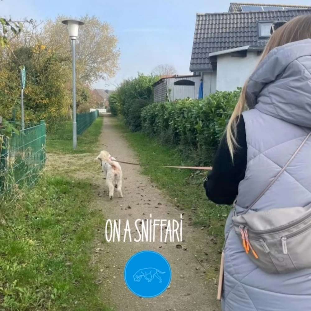 Hundetreffen-Mantrailing for fun-Profilbild