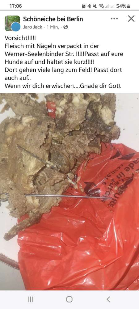 Giftköder-Fleisch mit Rouladennadeln-Profilbild