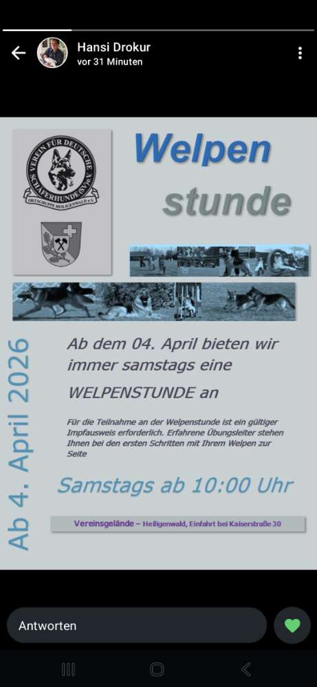 Hundetreffen-Welpengruppe-Profilbild