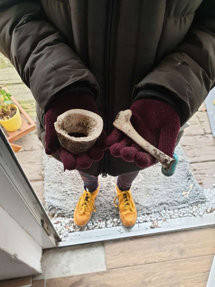 Giftköder-Mehrere Knochen verteilt Heiligensee-Profilbild