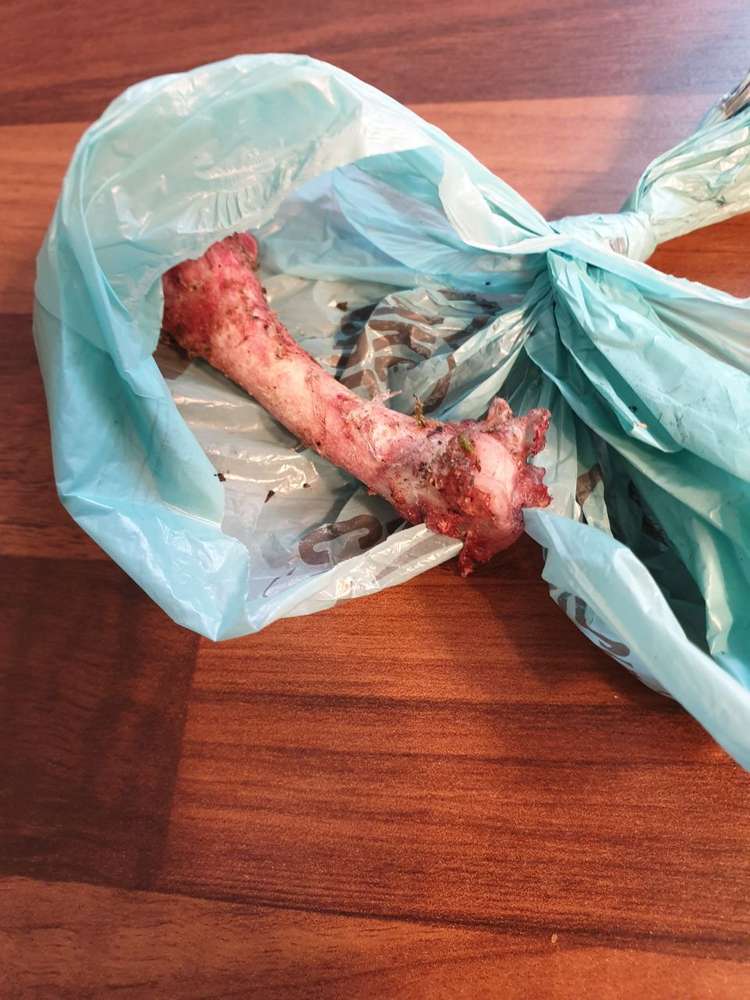 Giftköder-Knochen verteilt-Profilbild