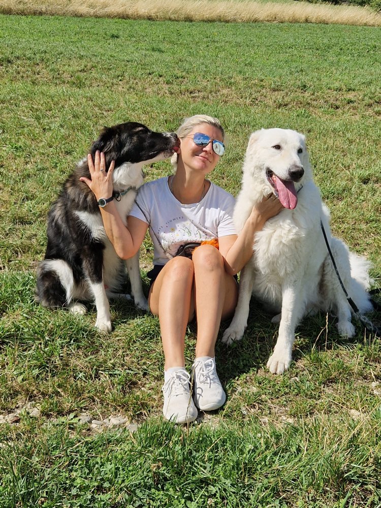 Hundetreffen-Spielen oder Gassi-Profilbild