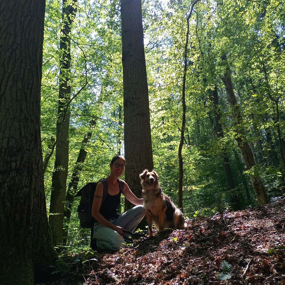 Hundetreffen-Treffen zum Gassi gehen und Spielen-Profilbild