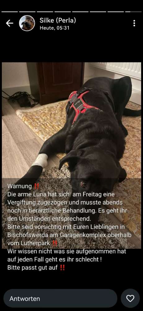 Giftköder-Vermutlich Giftköder-Profilbild