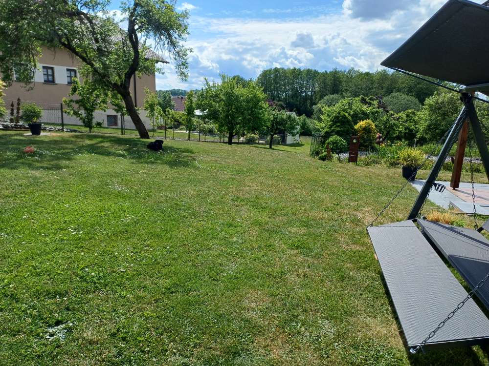 Hundetreffen-Suche Hundekumpel für regelmäßiges Spielen im Garten-Profilbild
