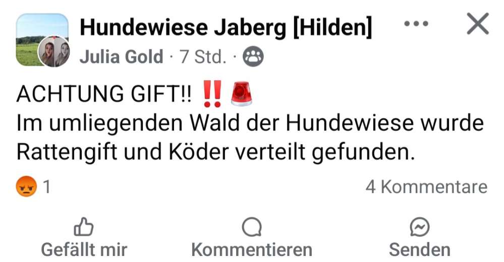 Giftköder-RATTENGIFT Jaberg Sandheide-Profilbild