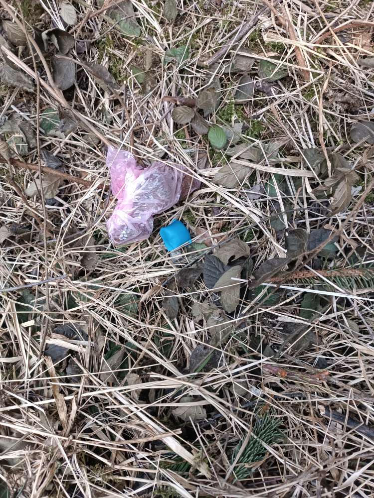 Giftköder-Giftköder Kompostierwald-Profilbild