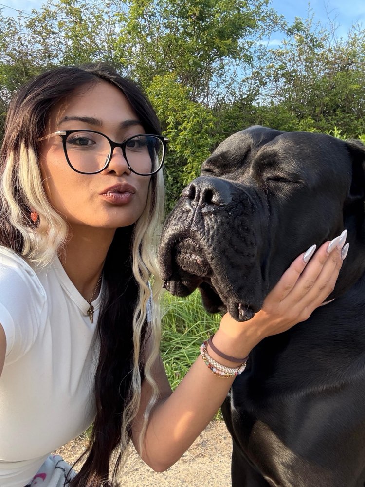 Hundetreffen-Social Walks, Spielen etc.-Profilbild