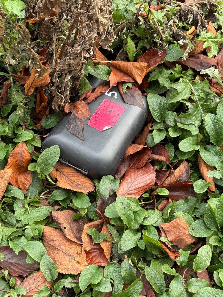 Giftköder-Rattenköder in Boxen-Profilbild