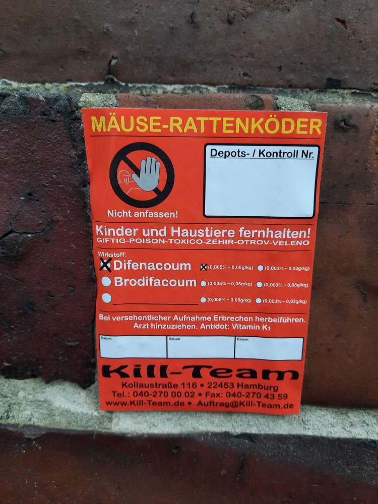 Giftköder-Rattenköder (vom Fachmann)-Profilbild