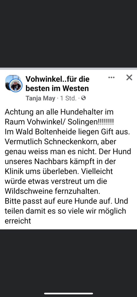 Giftköder-Gift-Profilbild