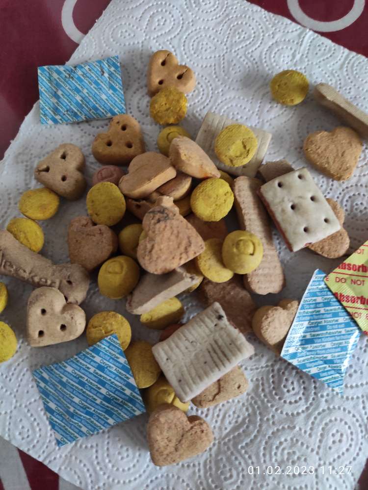 Giftköder-Hunde-Leckerlis über 200 m verteilt-Profilbild