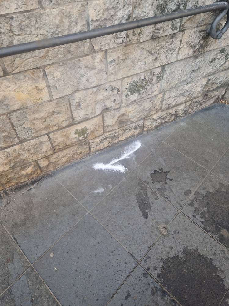 Giftköder-Giftköder-Profilbild