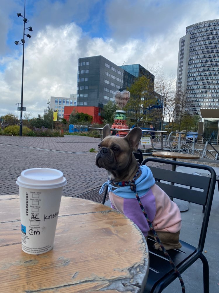 Hundetreffen-Social Walk-Profilbild