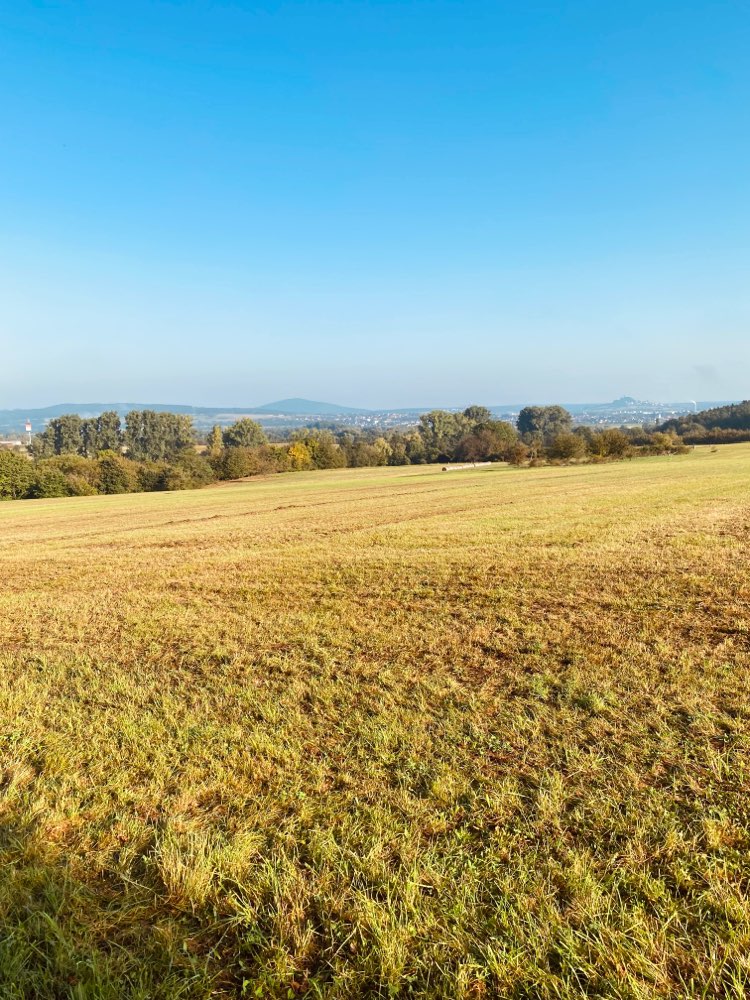 Hundetreffen-Spiel und/oder Trainingstreffen-Profilbild