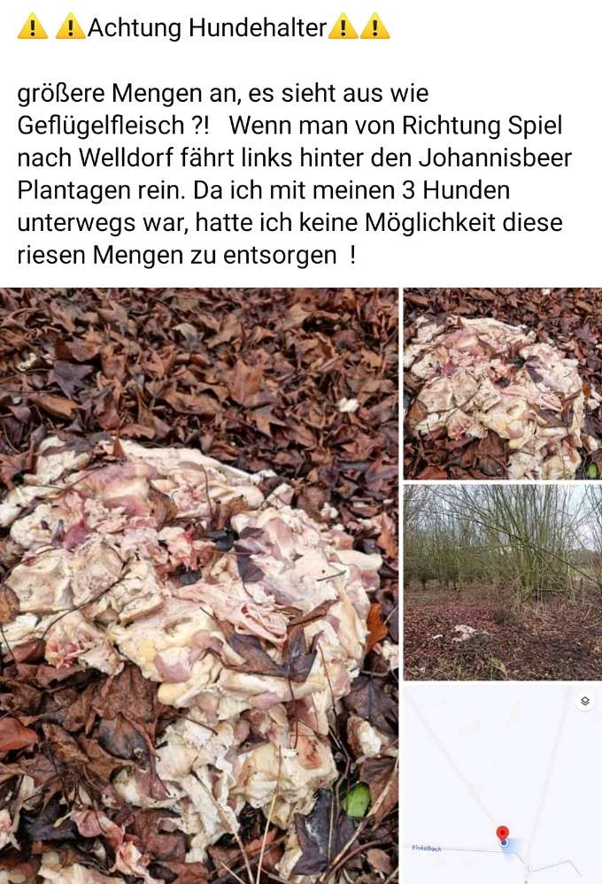 Giftköder-Eventuell Giftköder-Profilbild